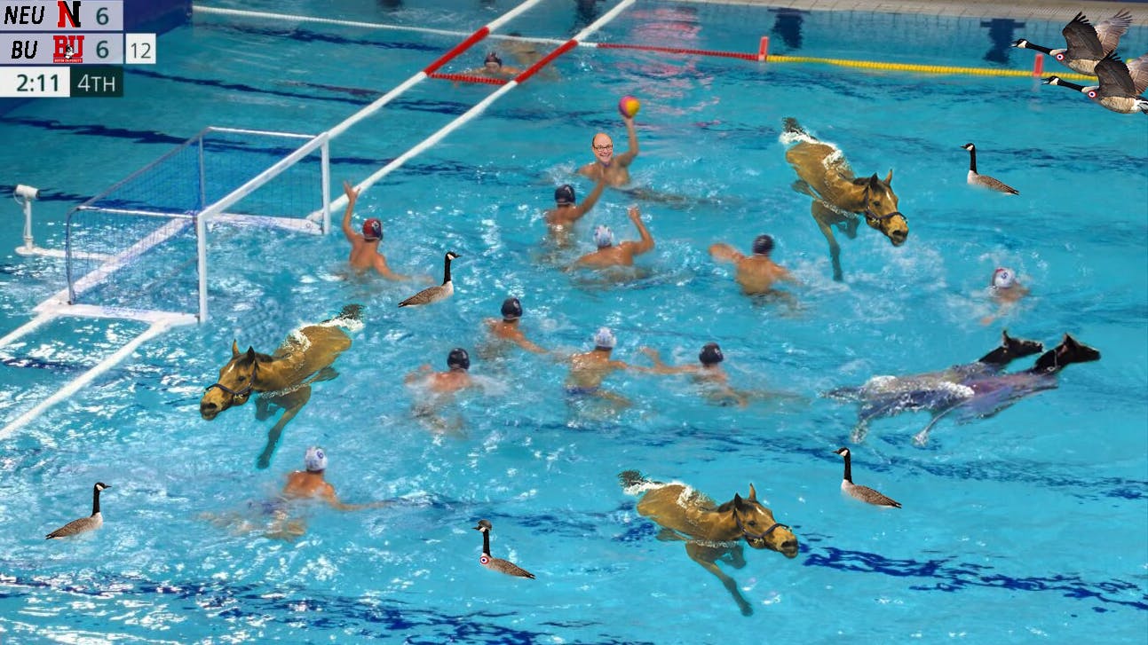 Image for Club Water Polo Under Fire for Alleged Horse Drownings