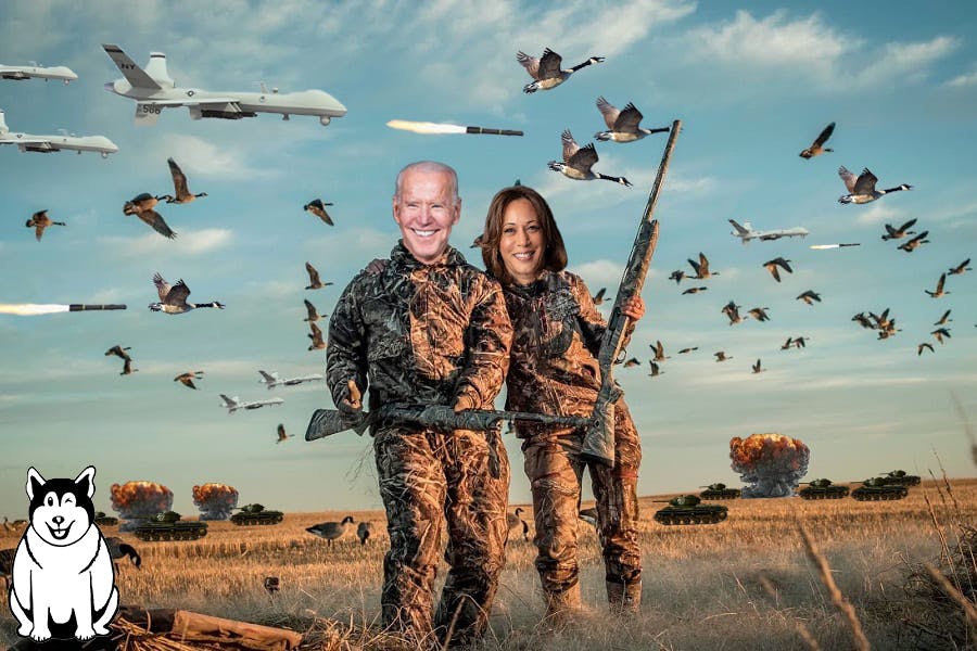 Thumbnail for Op Ed: The Biden Administration Must Declare a War on Geese